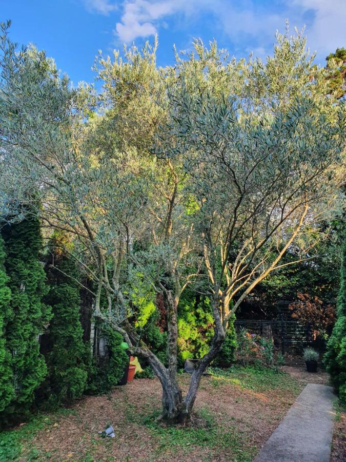 Апартаменты Cypress Garden Порторож Экстерьер фото